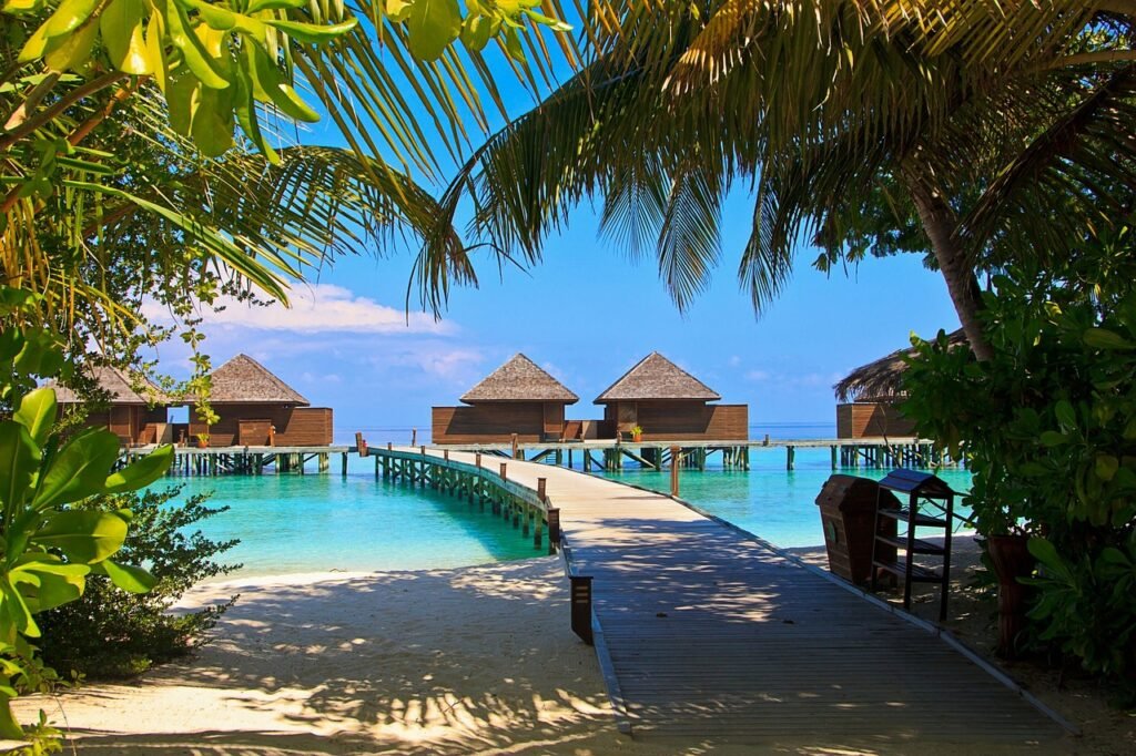 veligandu island, maldives, veligandu, relaxation, exotic, tropical, island, maldives, maldives, maldives, maldives, maldives
